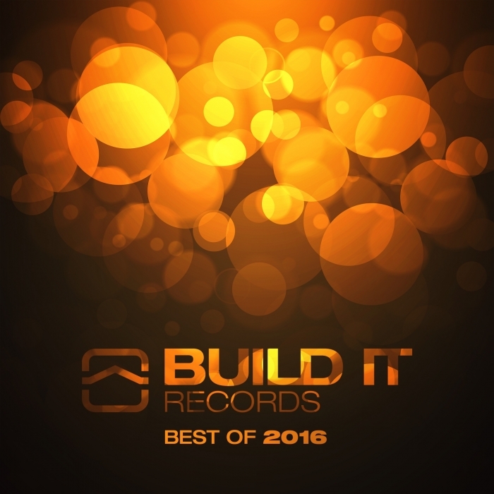 VARIOUS - Build It Records: Best Of 2016