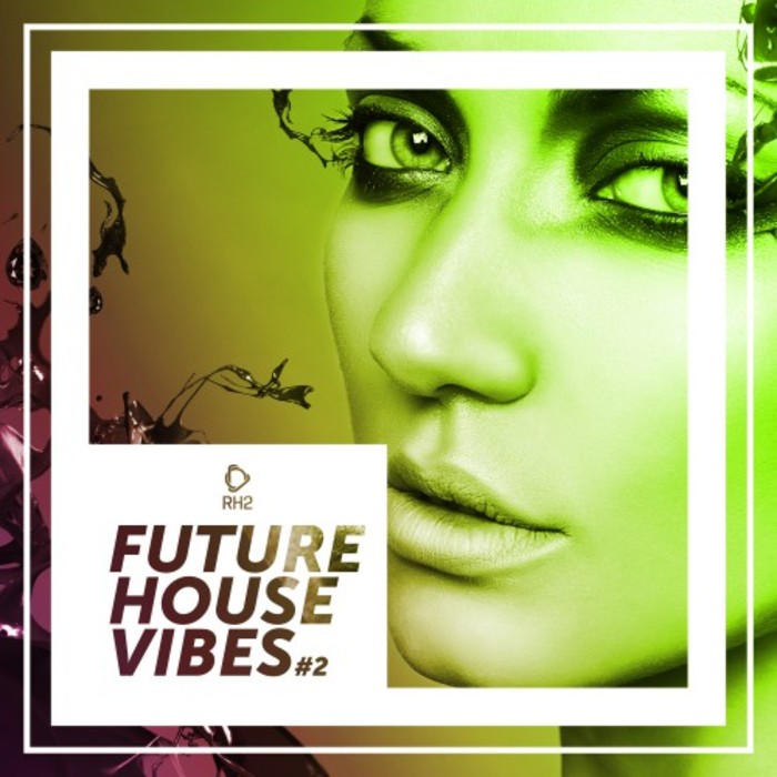 VARIOUS - Future House Vibes Vol 2