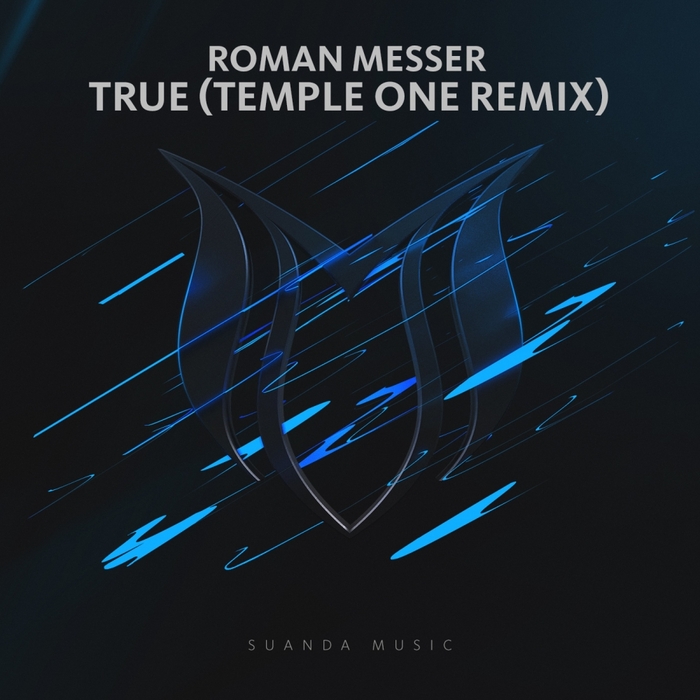 ROMAN MESSER - True