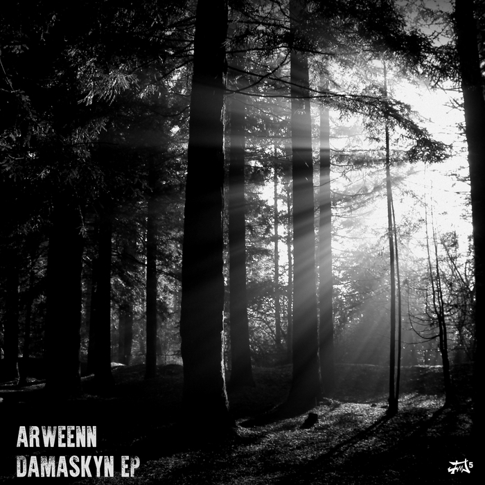 ARWEENN - Damaskyn EP