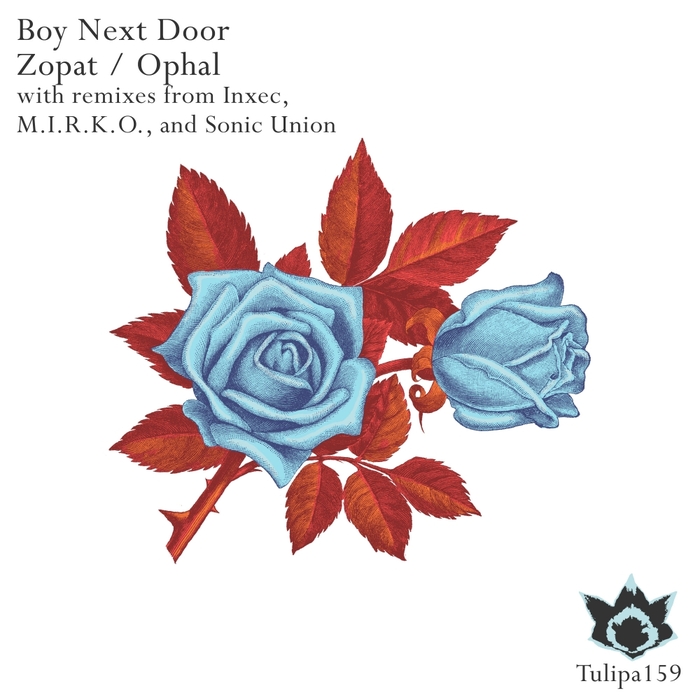 BOY NEXT DOOR - Zopat/Ophal