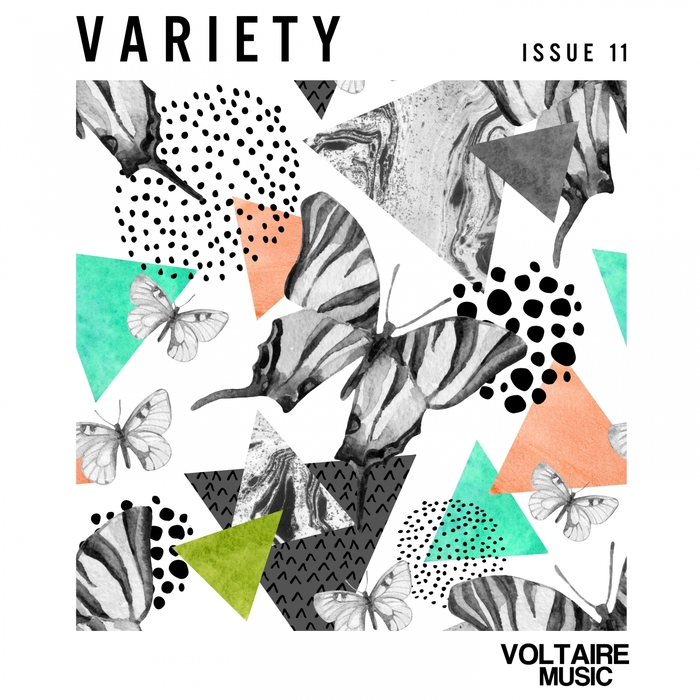 VARIOUS - Voltaire Music Present Variety Issue 11