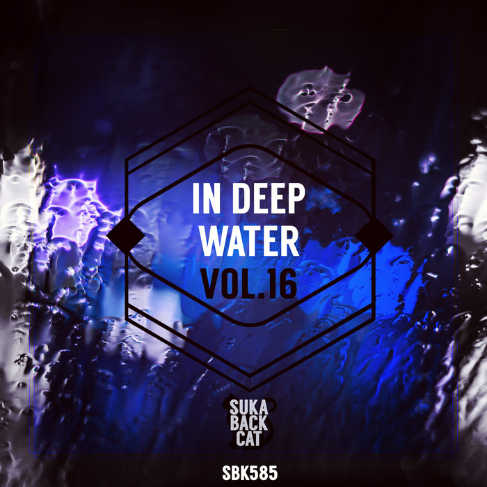 VARIOUS - In Deep Water Vol 16