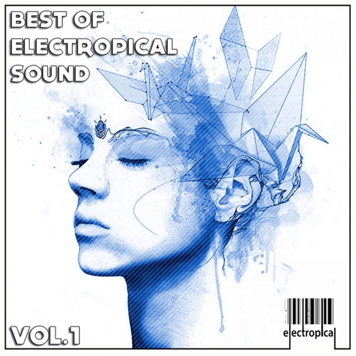 VARIOUS - Best Of Electropical Sound