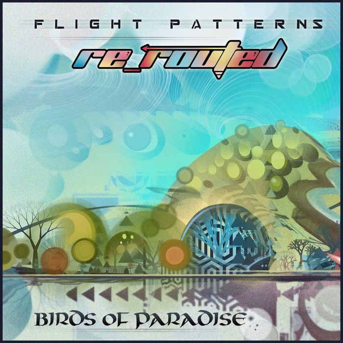 BIRDS OF PARADISE - Flight Patterns (Re Routed)