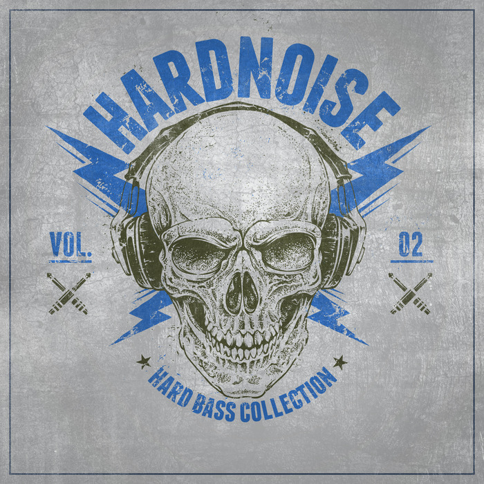 VARIOUS - Hardnoise Vol 2