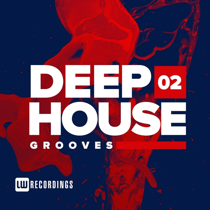 VARIOUS - Deep House Grooves Vol 02