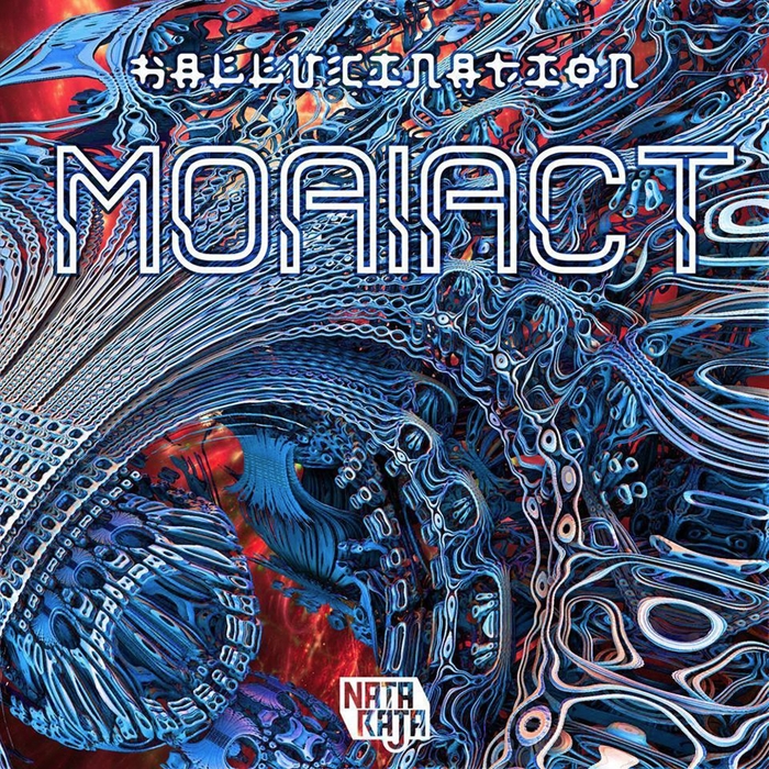 MOAIACT - Hallucination