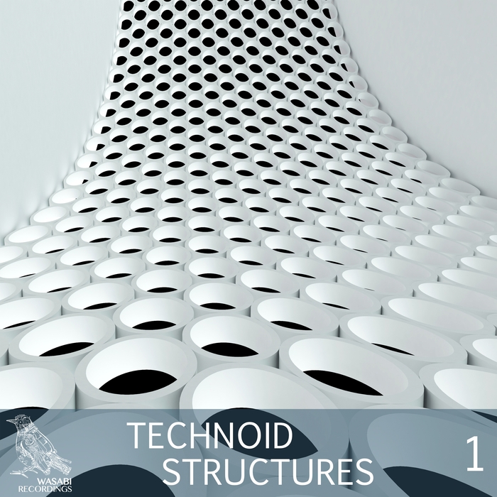 VARIOUS - Technoid Structures Vol 1