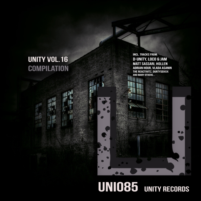 VARIOUS - Unity Vol 16 Compilation