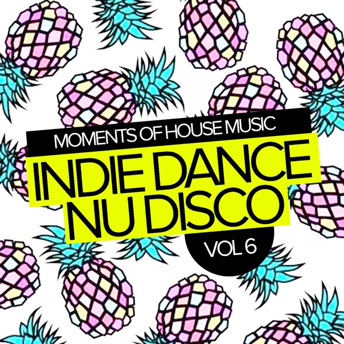 VARIOUS - Moments Of House Music Vol 6/Indie Dance Nu Disco