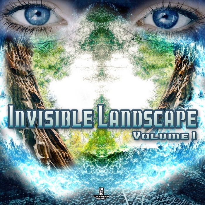 VARIOUS - Invisible Landscape Vol 1