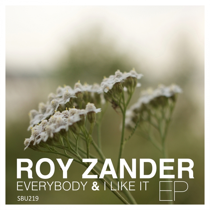 ROY ZANDER - Everybody/I Like It EP