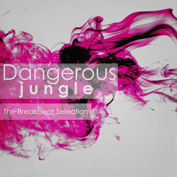 VARIOUS - Dangerous Jungle - The Breakbeat Selection