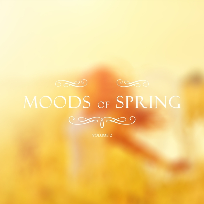 VARIOUS - Moods Of Spring Vol 2