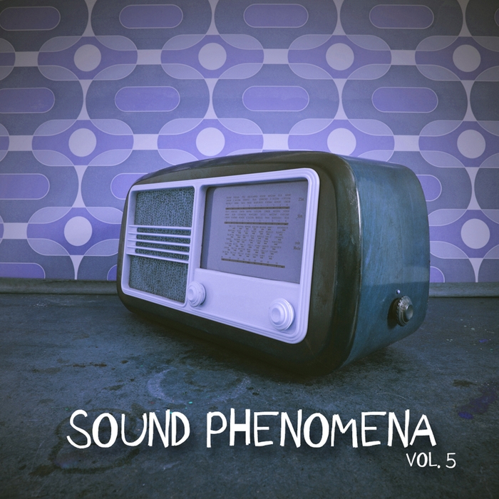 VARIOUS - Sound Phenomena Vol 5: Selection Of Tech House