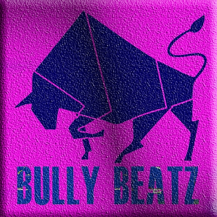 DANI SBERT - Bully Beatz Compilation