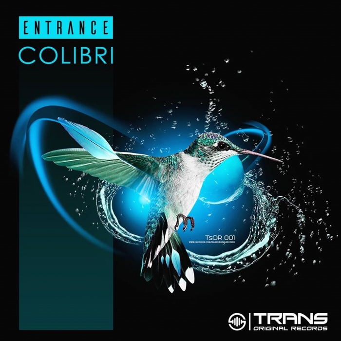 ENTRANCE - Colibri