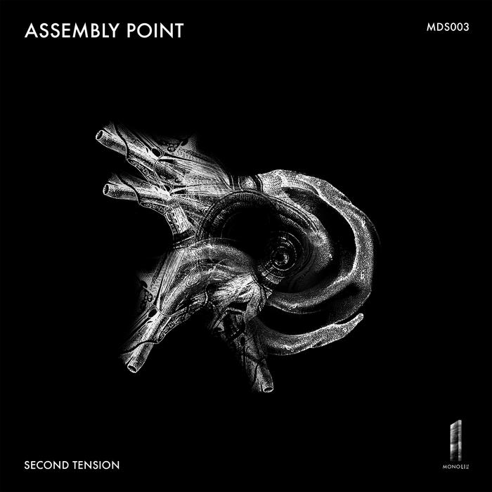SECOND TENSION - Assembly Point