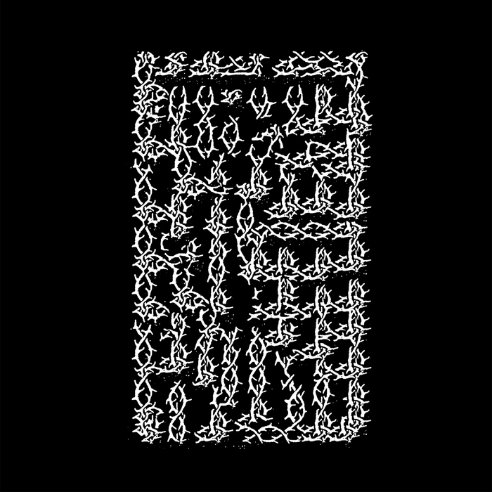 CIRCULAR RUINS - The Thorned Maze