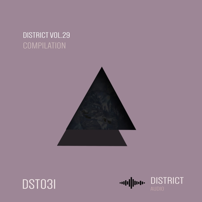 VARIOUS - District 29