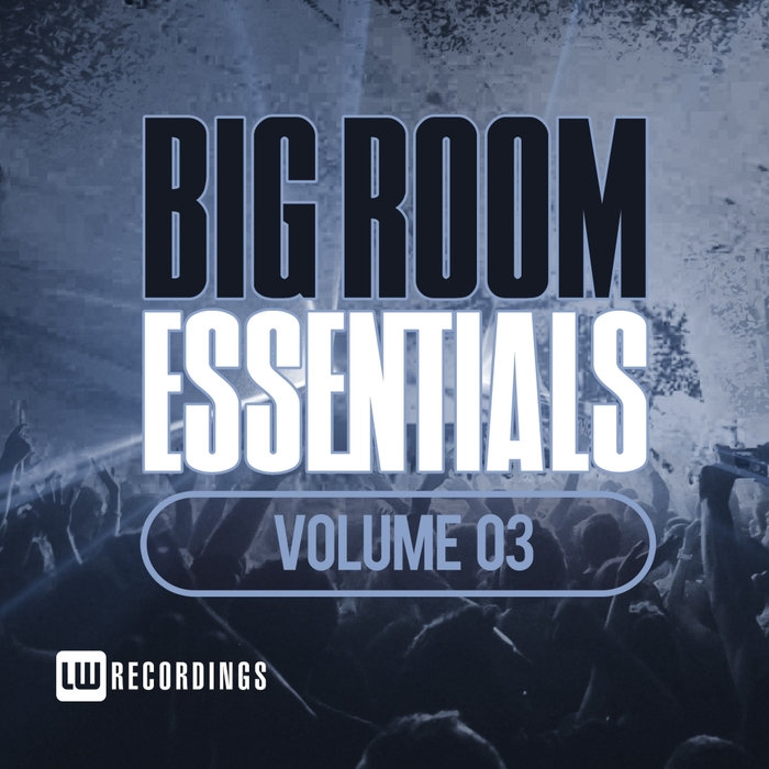 VARIOUS - Big Room Essentials Vol 03