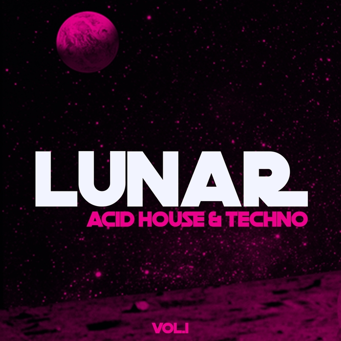 VARIOUS - Lunar Acid House & Techno Vol 1