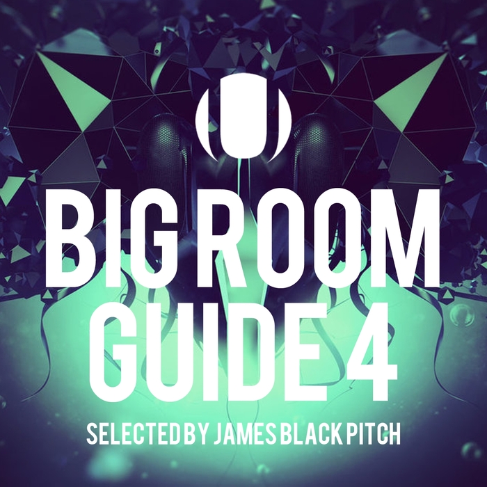 VARIOUS - Big Room Guide 4