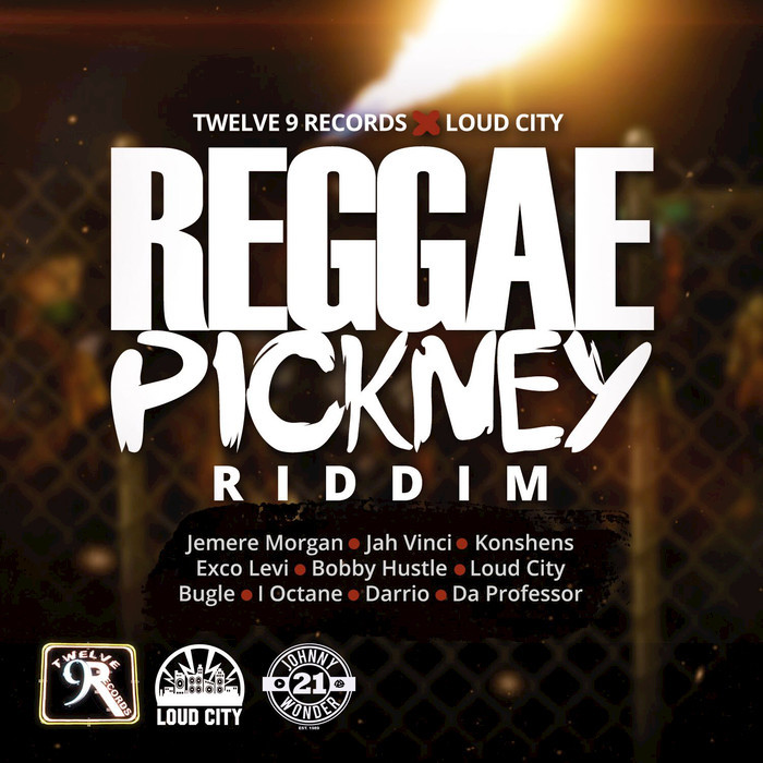 VARIOUS - Reggae Pickney Riddim