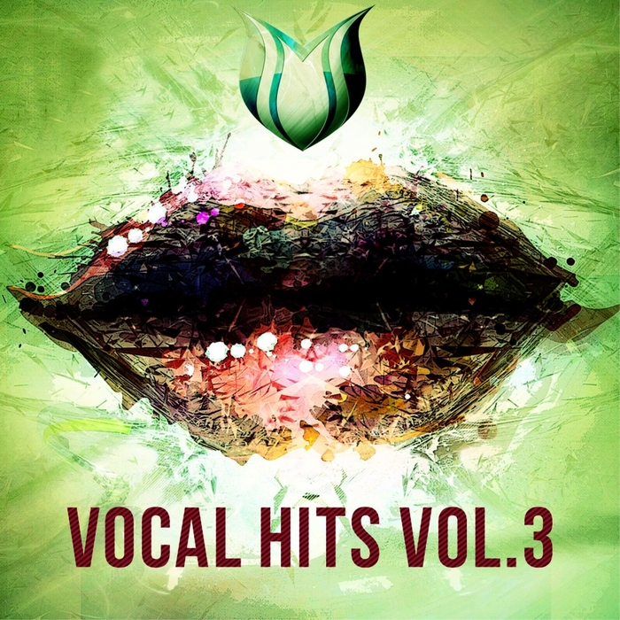 VARIOUS - Vocal Hits Vol 3