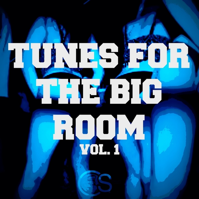 VARIOUS - Tunes For The Big Room Vol 1