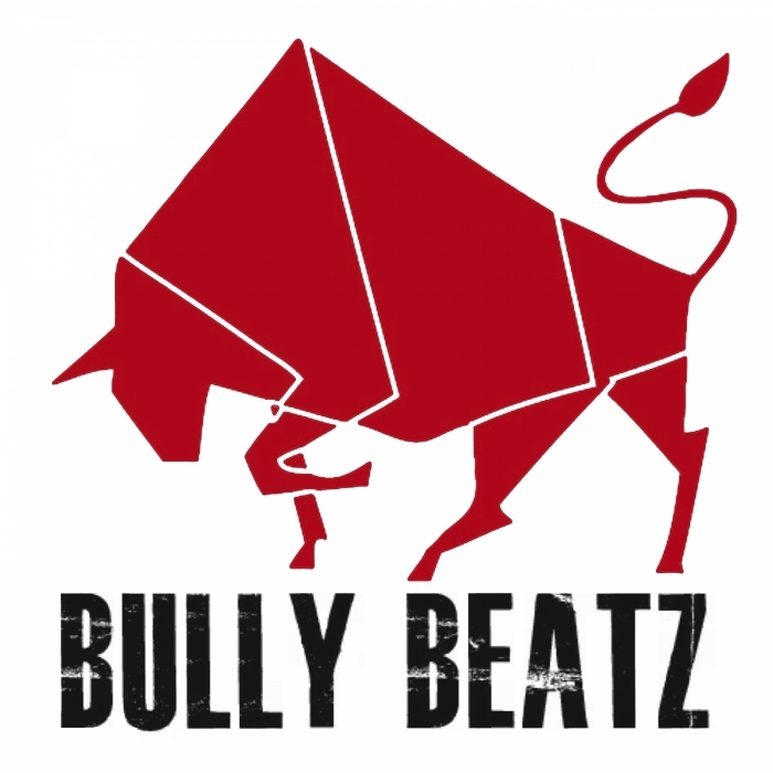 VARIOUS - Bully Beatz Compilation Part 2