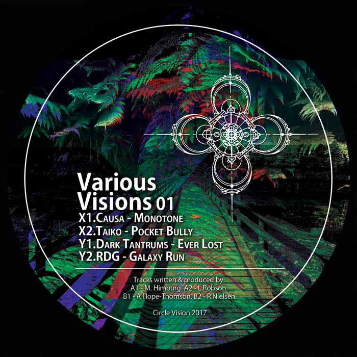 CAUSA/TAIKO/DARK TANTRUMS/RDG - Various Visions 01