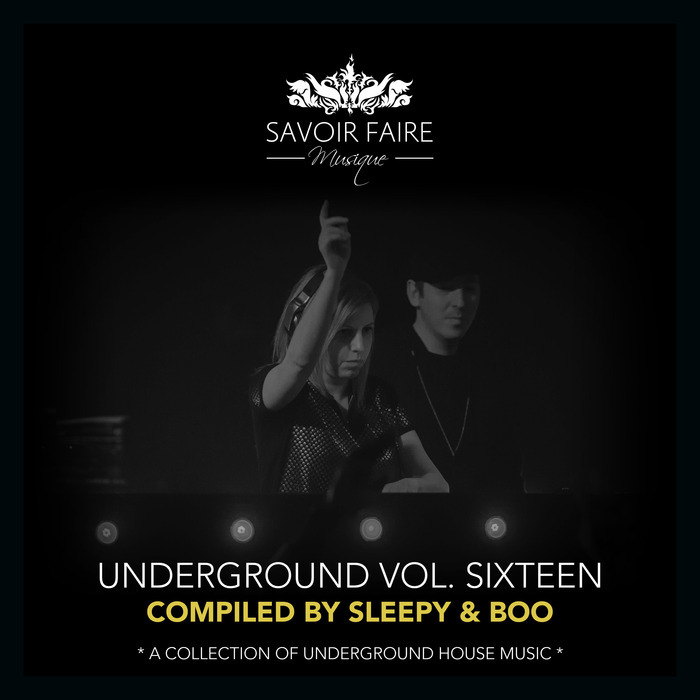 VARIOUS - Underground Vol Sixteen