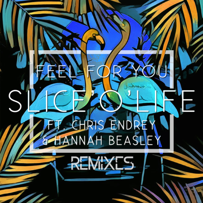 SLICE'O'LIFE - Feel For You (feat Chris Endrey/Hannah Beasley) (Remixes)