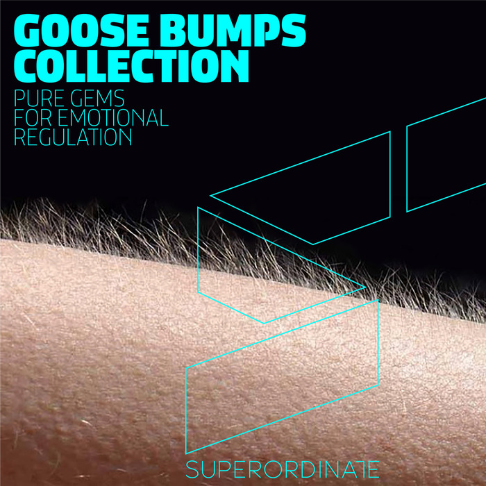 VARIOUS - Goose Bumps Collection