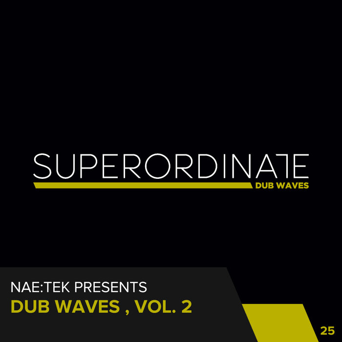 VARIOUS - Dub Waves Vol 2