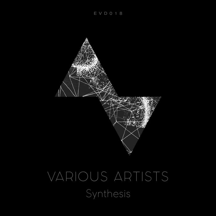 VARIOUS - Synthesis