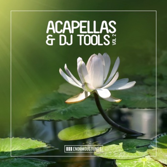 VARIOUS - Enormous Tunes - Acapellas & DJ Tools, Vol  2