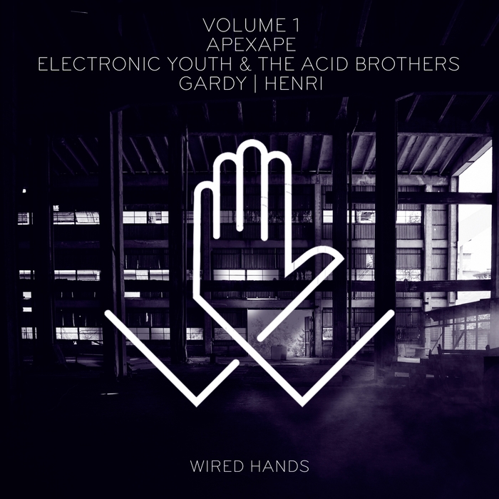 APEXAPE/GARDY/ELECTRONIC YOUTH/THE ACID BROTHERS/HENRI - Wired Hands Vol 1