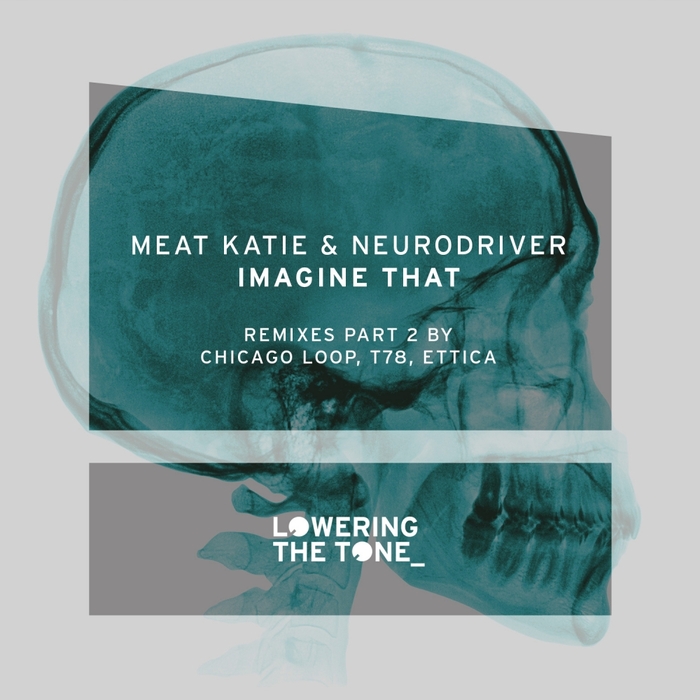Imagination katy. Meat Katie. T78 Remix. Meat Katie turn. Meat Katie - next Life.