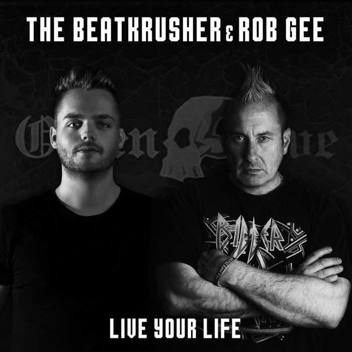 THE BEATKRUSHER & ROB GEE - Live Your Life