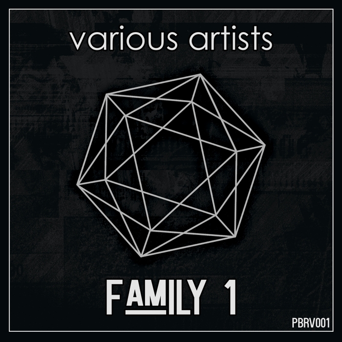 VARIOUS - Family 1