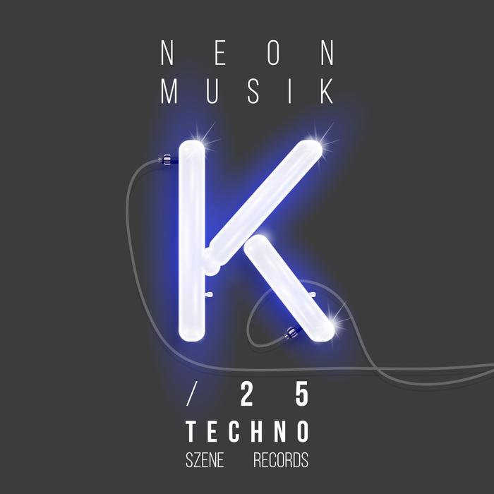 VARIOUS - Neon Musik 25