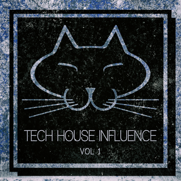 VARIOUS - Tech House Influence Vol 1