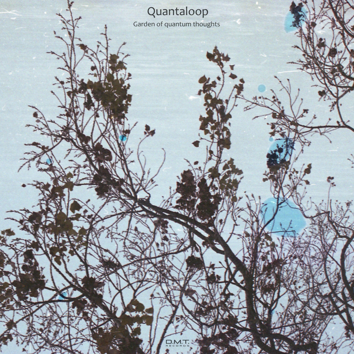 QUANTALOOP - Garden Of Quantum Thoughts
