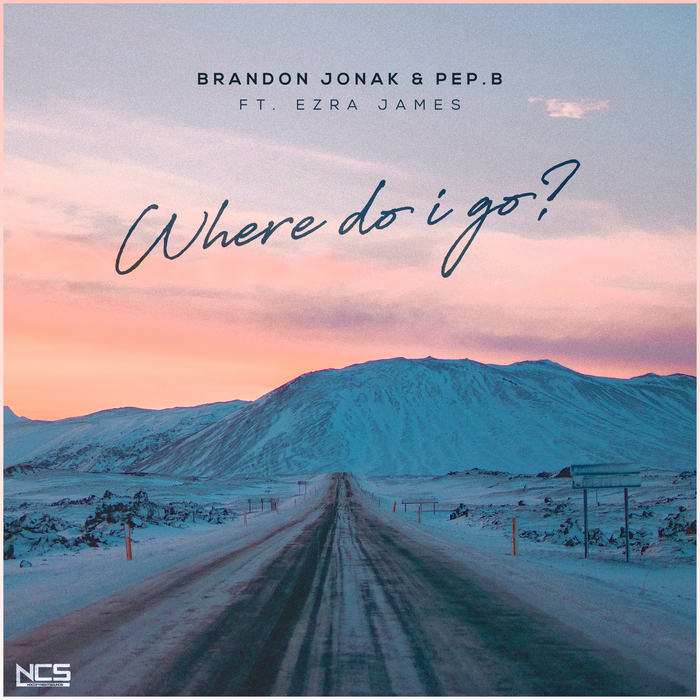 BRANDON JONAK & PEP B feat EZRA JAMES - Where Do I Go