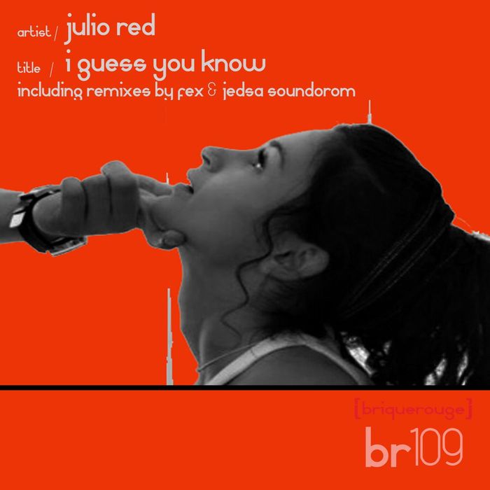 JULIO RED - I Guess You Know