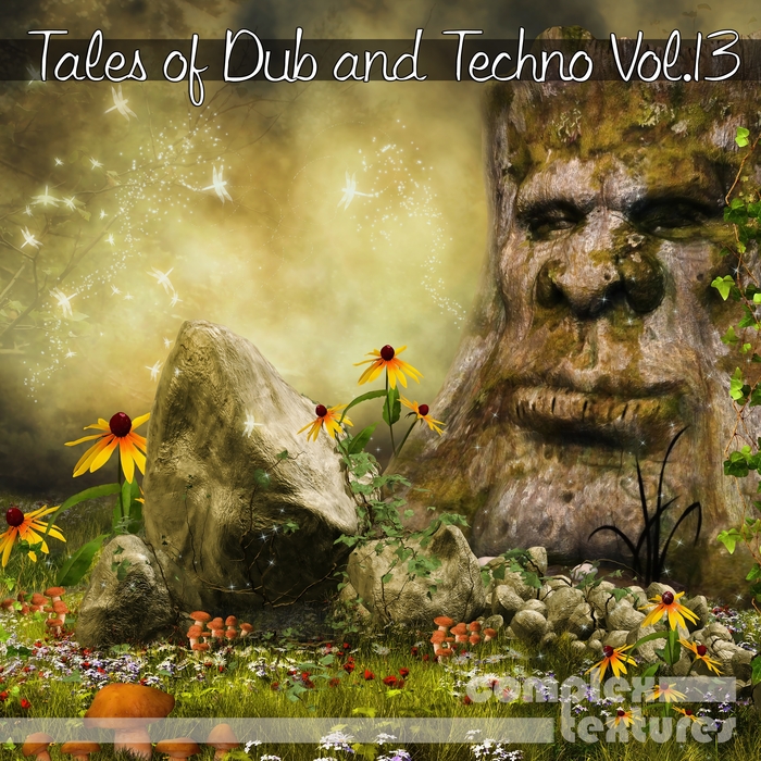 VARIOUS - Tales Of Dub And Techno Vol 13
