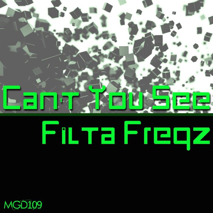 FILTA FREQZ - Can't You See
